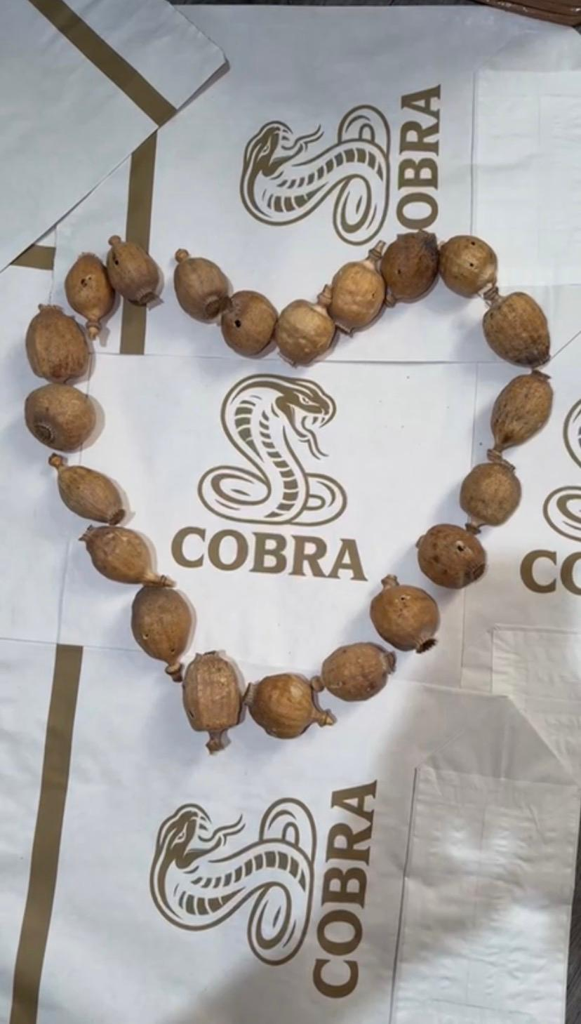 dried poppy pods austria cobra white bags dried poppy pods austria cobra white bags