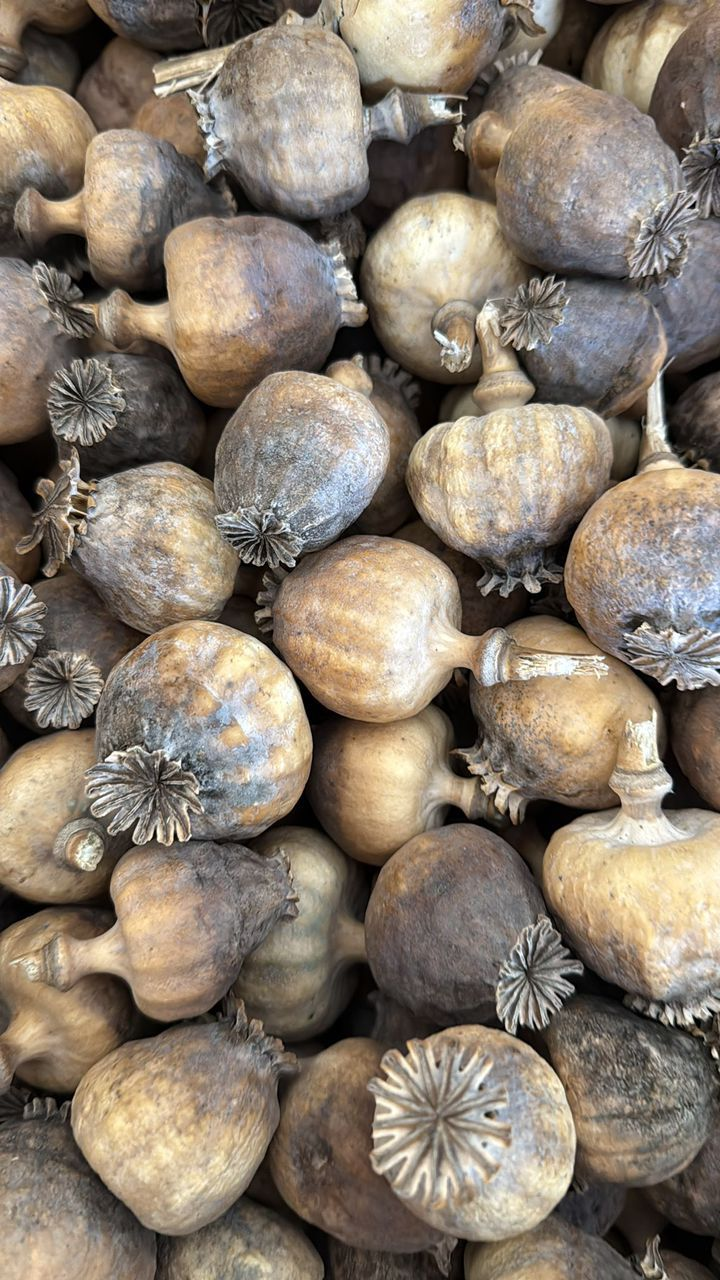 2kg dried poppy pod with seeds 2kg dried poppy pod with seeds