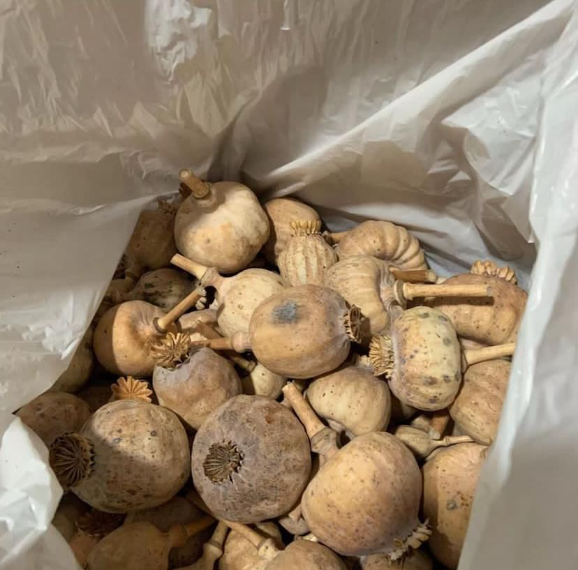 2kg dried poppy pod with seeds 2kg dried poppy pod with seeds