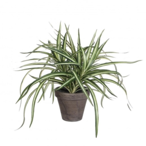 dragon plant artificial plant