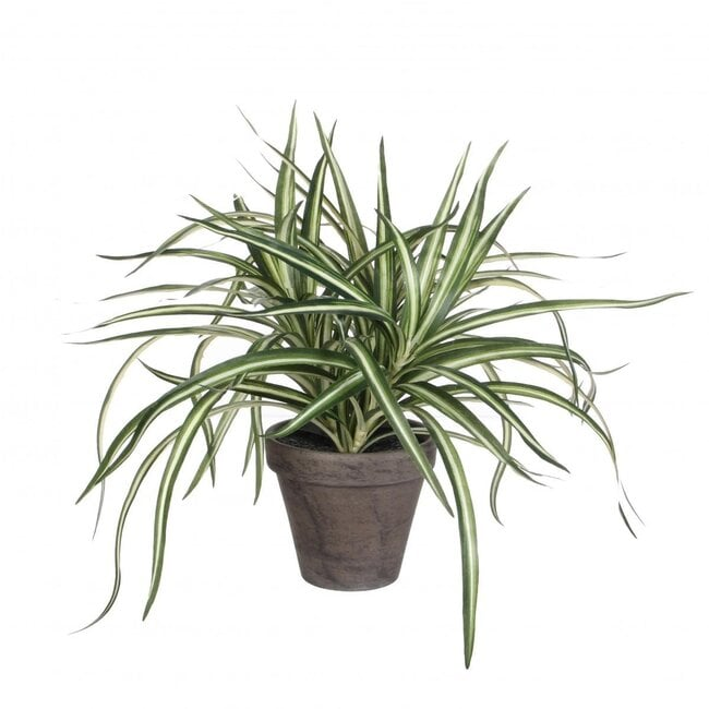 dragon plant artificial plant dragon plant artificial plant