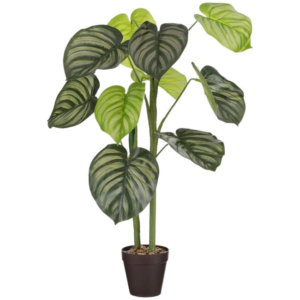 caladium artificial plant