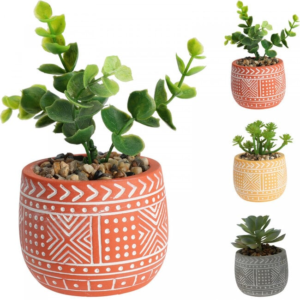 succulent artificial plant