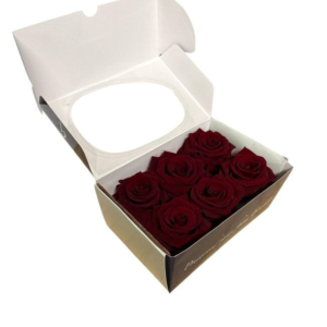 preserved rose heads