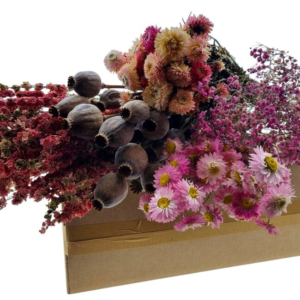 dried flowers diy set "la palma"