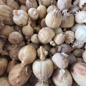 2kg dried poppy pod with seeds
