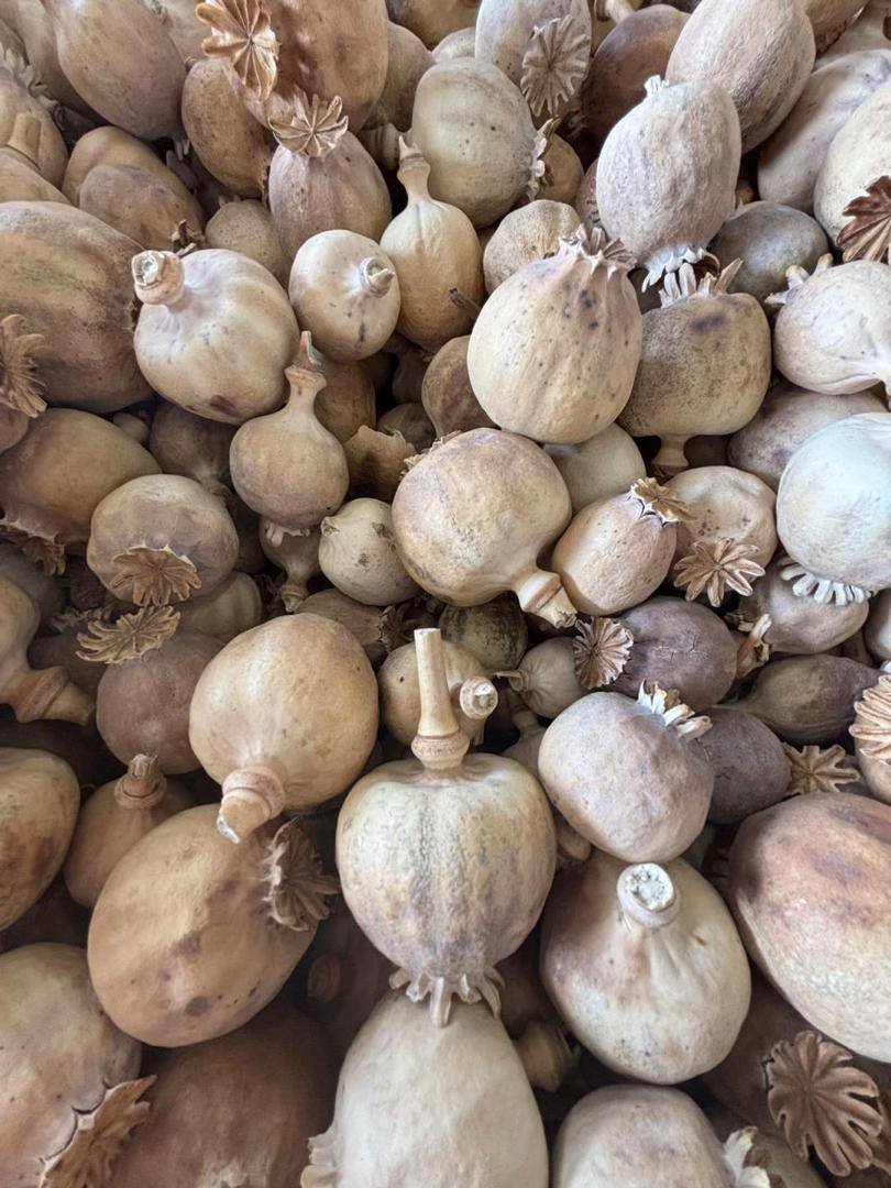 photo-2026-03-10-02-08-37