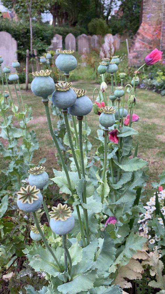 photo-2026-03-10-02-08-45