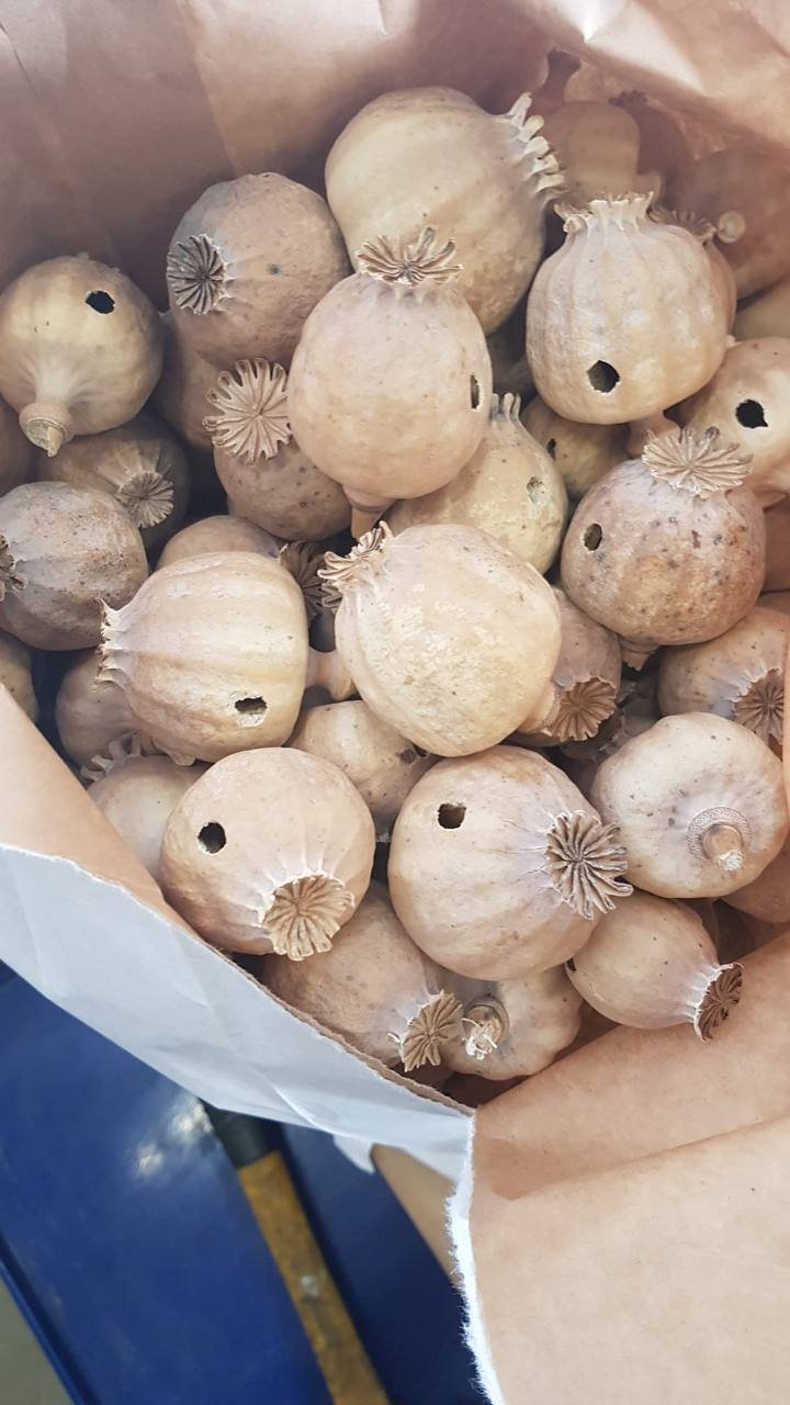 photo-2026-03-10-02-08-51