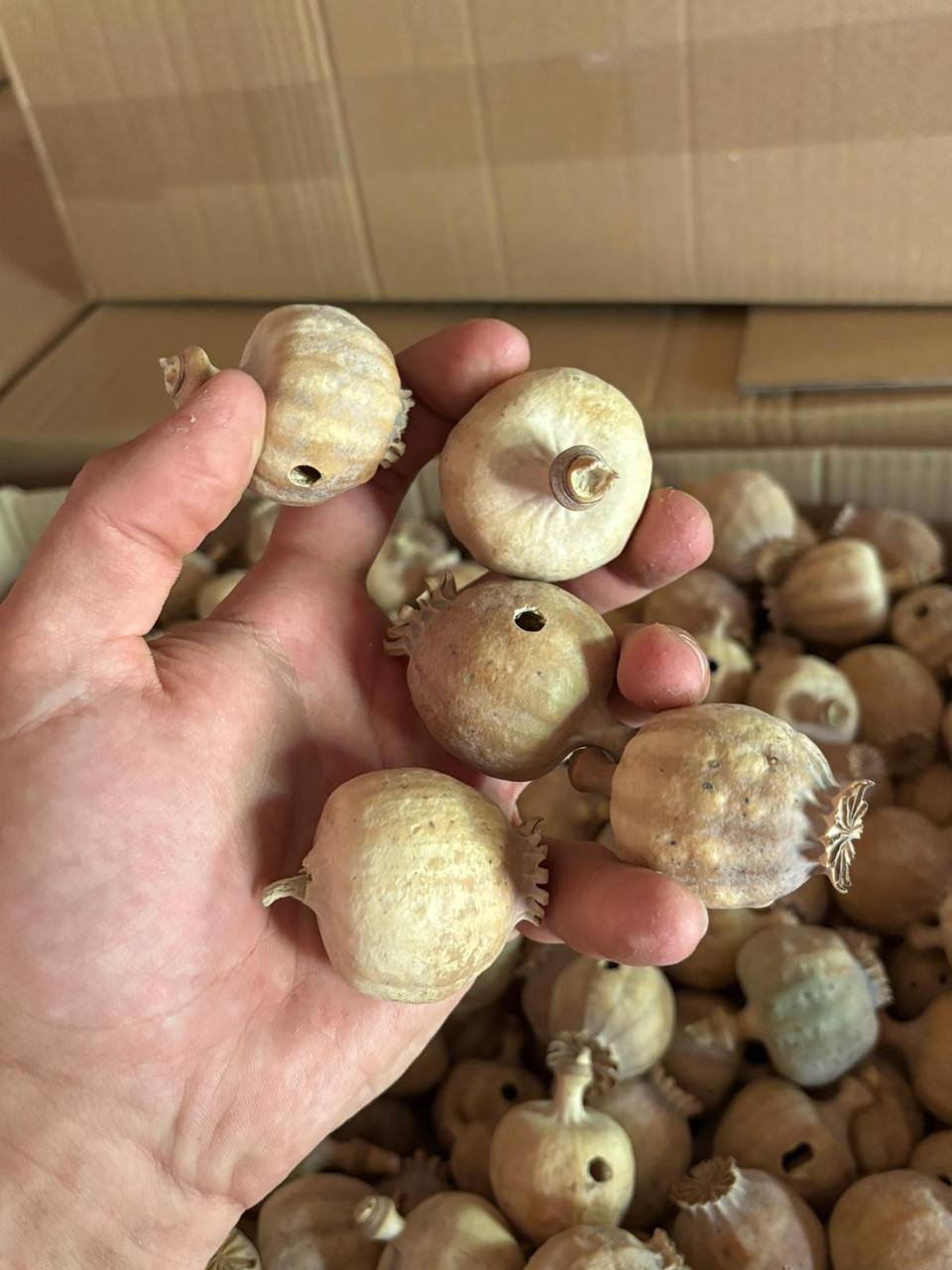 photo-2026-03-10-02-08-56