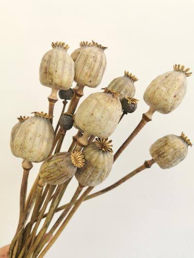 photo-2026-03-10-02-09-01