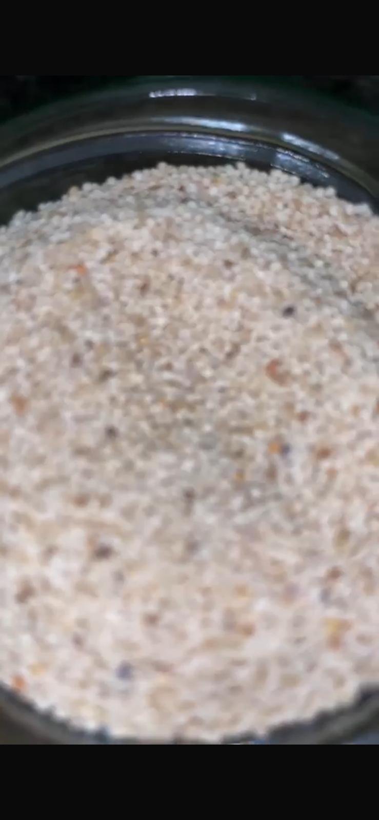 opium poppy seeds for sale opium poppy seeds for sale