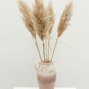 dried pampas grass wedding