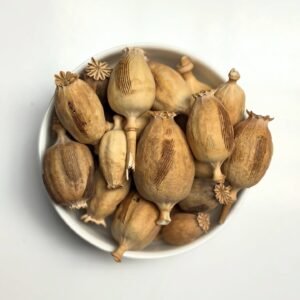turkish poppy pod