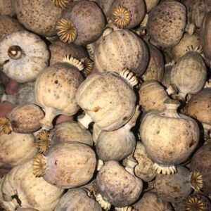 500g Dried Field Poppy Pods
